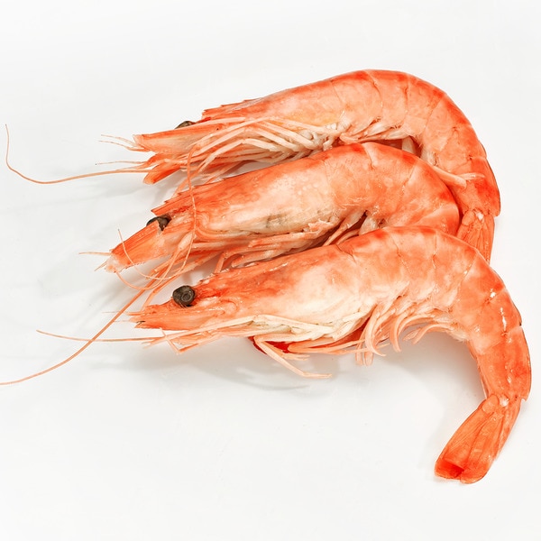 Langostino cocido salvaje marfil 20-30 pzas/kg