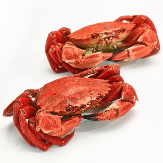 Nécora de ría cocida peso aproximado unidad 120 g