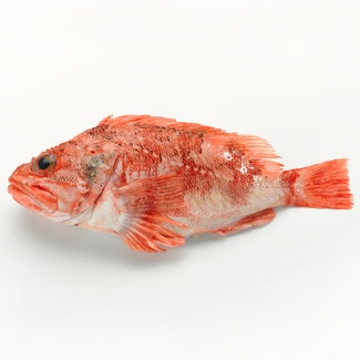 Drachenkopf Gewicht ca. Stück 500 g