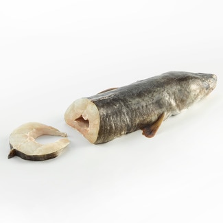 Dicker Meeraal frisch geschnitten