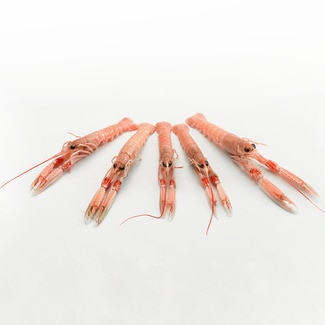 Cigala fresca de costa 17-22 pzas/kg