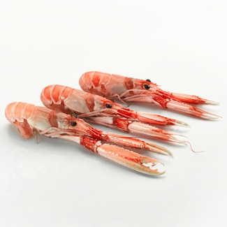 Kaiserhummer 5-6 St./kg