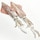 Large jig-caught squid approximate weight piece 500-800 g