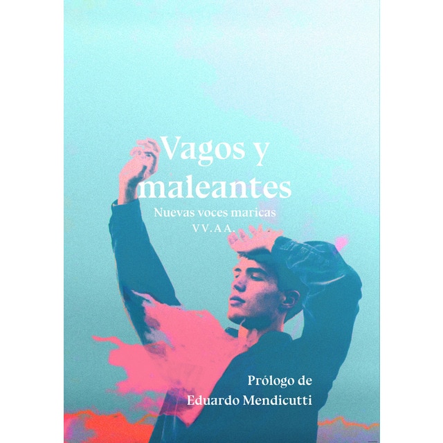 Vagos y maleantes (Tapa blanda)