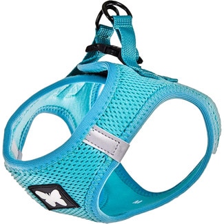 MARTIN SELLIER Turquoise dog harness size XS for mini breed and small dogs 1 each