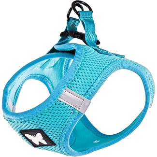 MARTIN SELLIER Turquoise dog harness size XXS for mini breed dogs 1 each