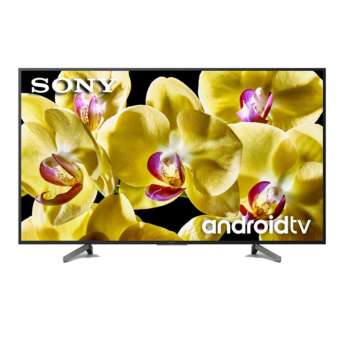 TV LED 124,46 cm (49") Sony KD-49XG8096 Android TV 4K HDR Triluminos Display, 4K X-Reality PRO y Google Assistant