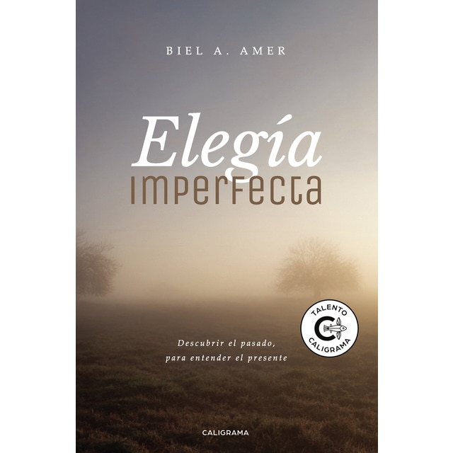 Elegía imperfecta (Tapa blanda)