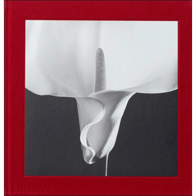 Mapplethorpe Flora: The Complete Flowers (Tapa dura)