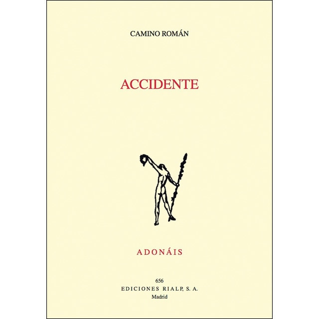 Accidente (Tapa blanda)