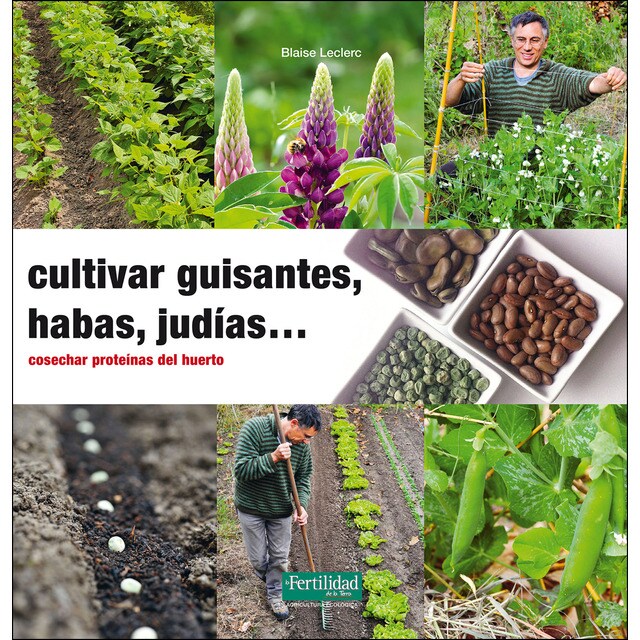 Cultivar guisantes, habas, judías. : Cosechar proteínas del huerto