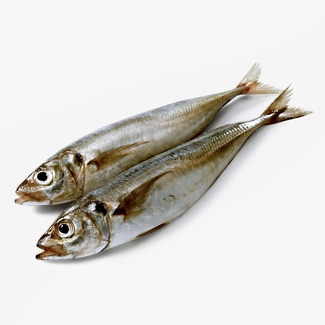 Mackerel approximate weight piece 700 g