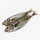 Jurel real peso aproximado pieza 700 g