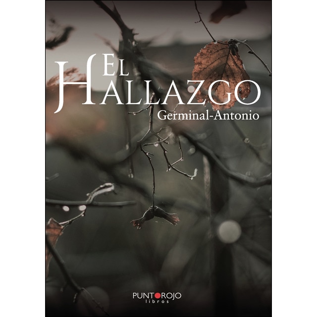 El hallazgo