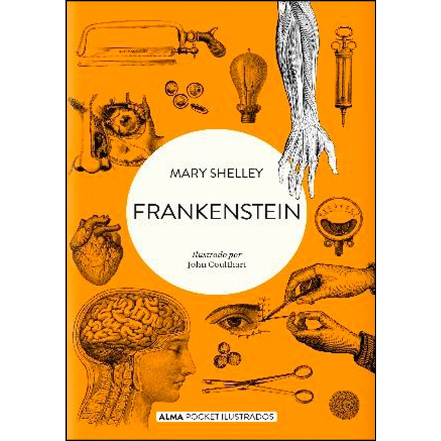 Frankenstein (pocket) (Tapa blanda)
