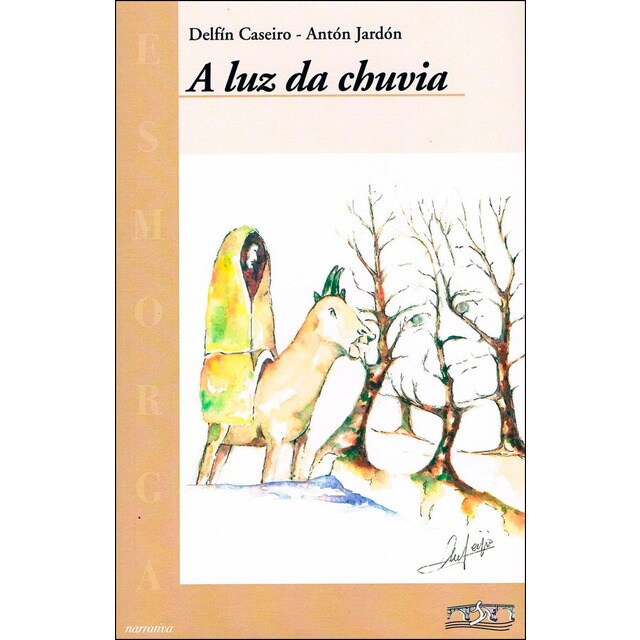 A luz da chuvia (Tapa blanda)