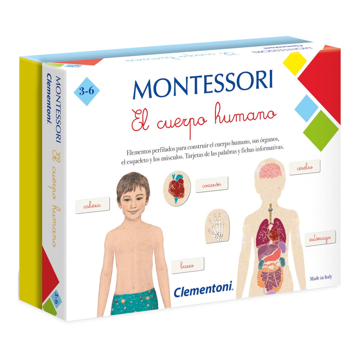 Montessori: El cuerpo humano