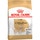 ROYAL CANIN pienso para perros adultos Chihuahua bolsa 1,5 kg