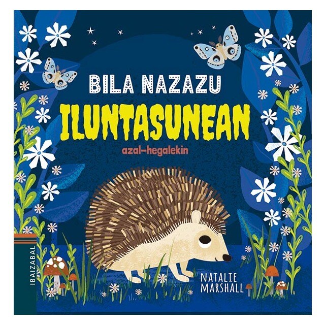Iluntasunean (Tapa dura)