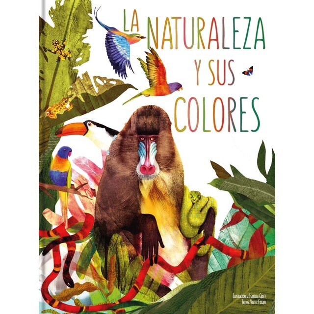 Libro ilustrado la naturaleza y sus colores