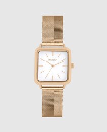 Pontina CY10761 women's gold steel mesh watch