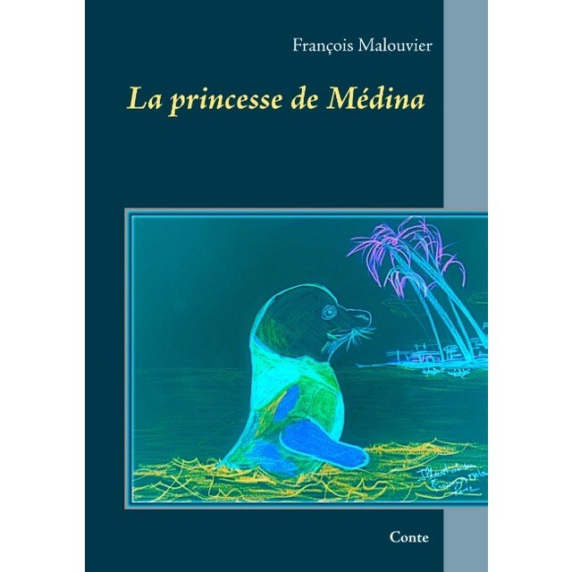 La princesse de médina (Tapa blanda)