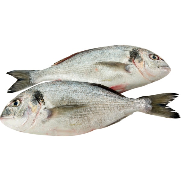 Dourada de Aquicultura 200/600 g Peso Aproximado por unidade 400 g