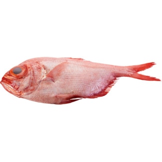 Imperador Peso Aproximado por unidade 1,5 kg