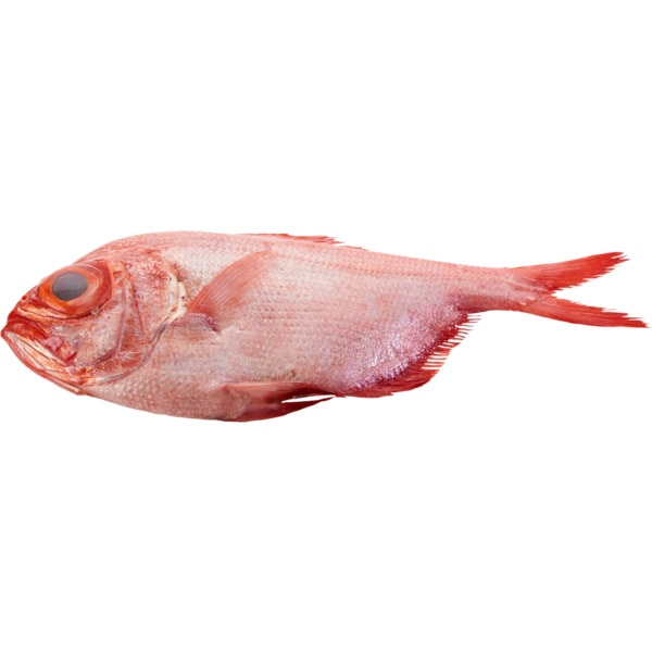 Imperador Peso Aproximado por unidade 1,5 kg
