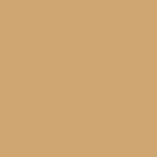 Desert Beige 2N1