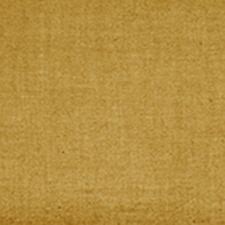 Maputo Mostaza