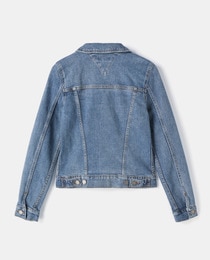 tommy hilfiger women's denim jacket