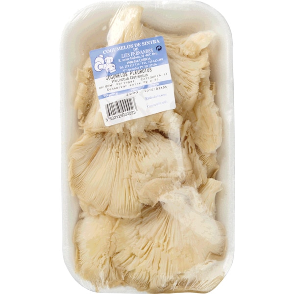 Cogumelos Pleurothus embalagem 250 g
