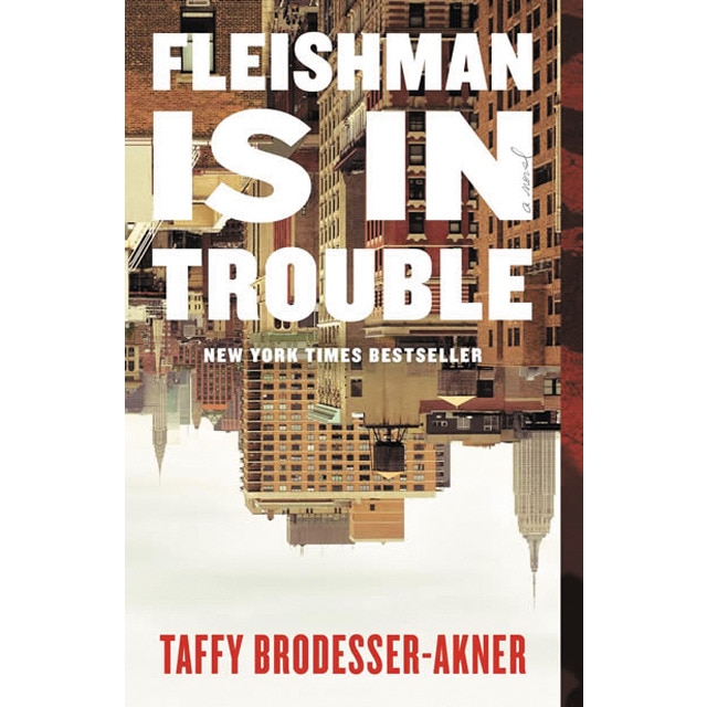 Fleishman is in trouble