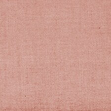 Maputo Rosa palo