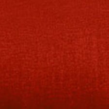 Borneo Teja Borneo Teja