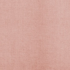 Maputo Rosa pálido