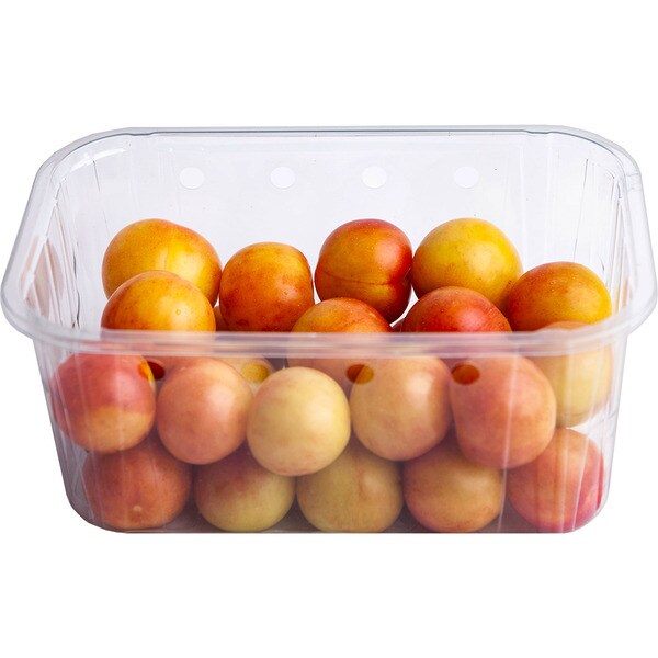 Albaricoque rojo tarrina 500 g