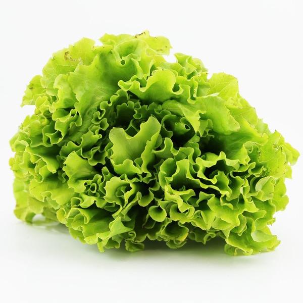 Lechuga batavia label bolsa 140 g