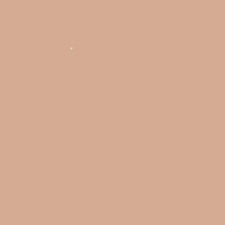 2C2 Pale Almond