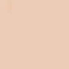 2N1 Desert Beige