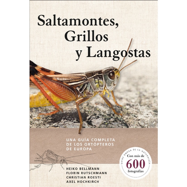 Saltamontes, grillos y langostas: Una guía completa de los ortópteros de europa (Tapa blanda)