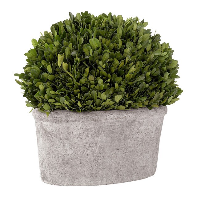 Plante naturelle préservée ovale Arbuste El Corte Inglés