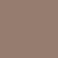 Warm Brown 03