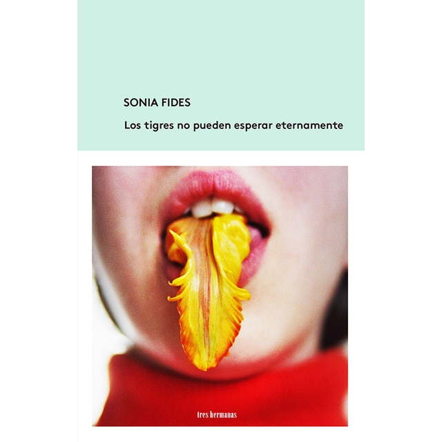 Los tigres no pueden esperar eternamente (Tapa blanda)