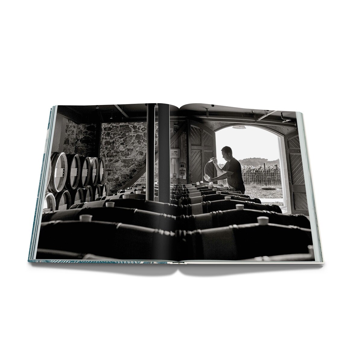 The impossible collection of american wine 9