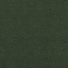 Antara Verde Bosque