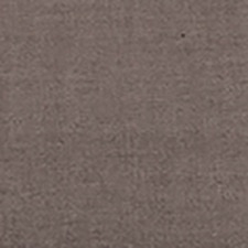 Antara Gris