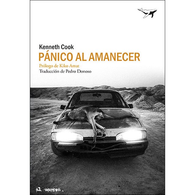 Pánico al amanecer (Tapa blanda)