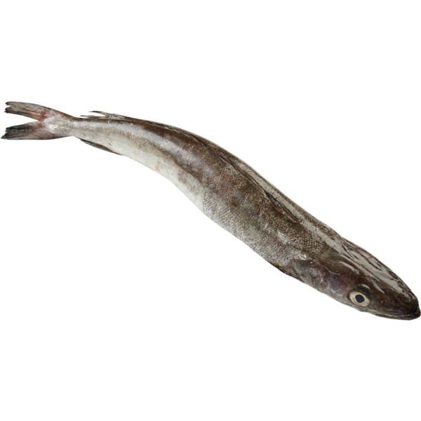 Pescada Nacional Peso Aproximado por unidade 1,5 kg